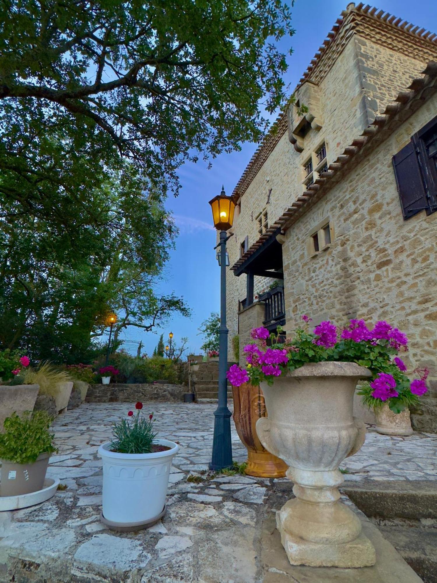 Chateau De Tournou Castelreng Экстерьер фото